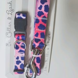 Collar & Leash Set